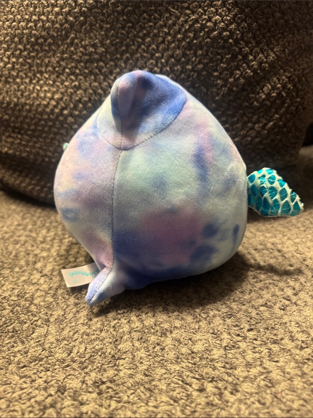 Squishmallow snacking - Picture 3 of 5